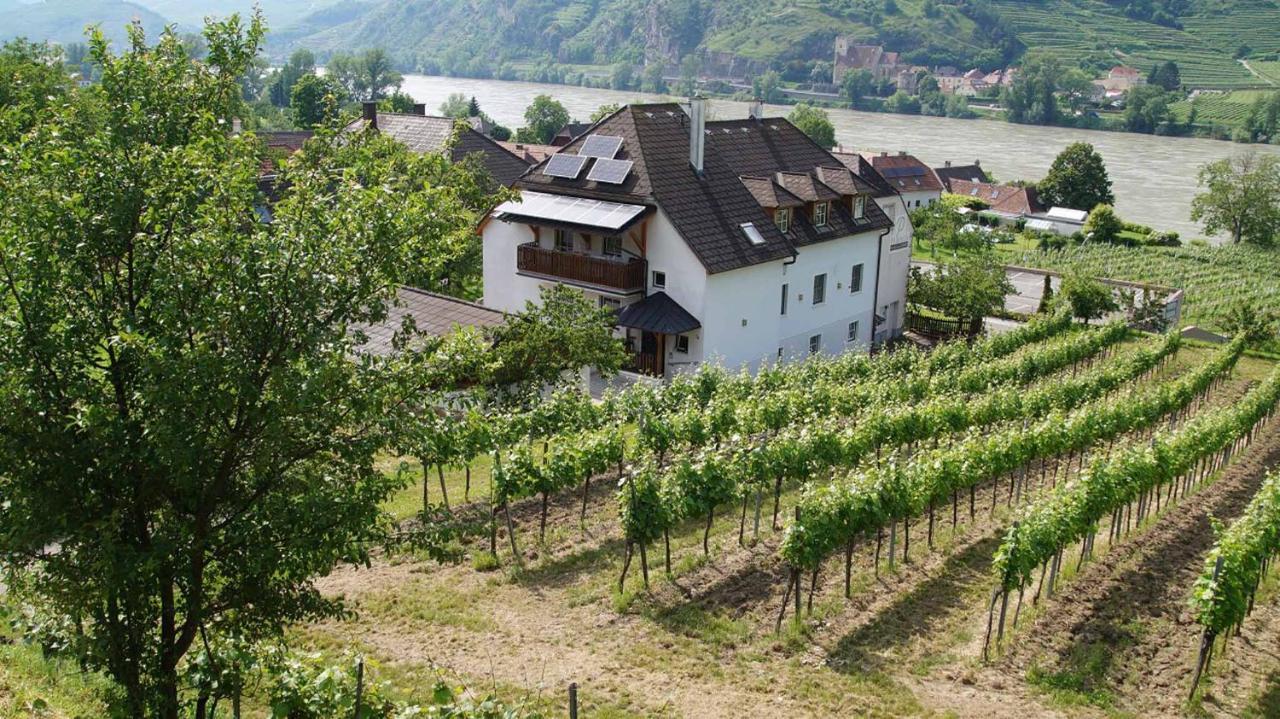 Mitterarnsdorf Weingut & Gaestezimmer Pammer מראה חיצוני תמונה