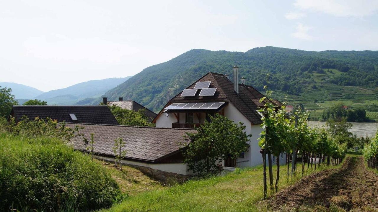 Mitterarnsdorf Weingut & Gaestezimmer Pammer מראה חיצוני תמונה