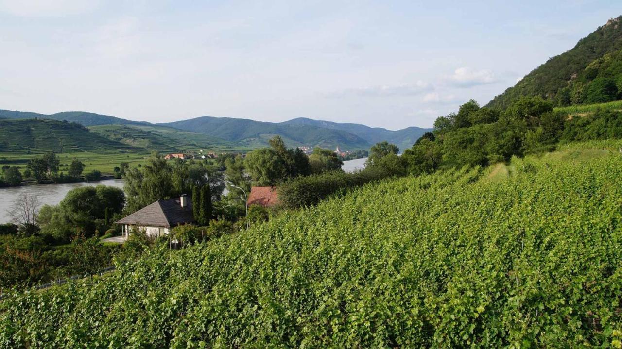 Mitterarnsdorf Weingut & Gaestezimmer Pammer מראה חיצוני תמונה